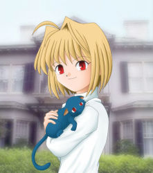 Rule 34 | 00s, 1girl, ahoge, animal, arcueid brunestud, blonde hair, building, bush, cat, day, holding, long sleeves, melty blood, outdoors, petting, plant, poorly drawn, red eyes, shirt, short hair, smile, solo, sweater, tsukihime, type-moon, whiskers, white shirt