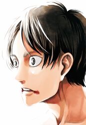 Rule 34 | 1boy, absurdres, blending, blood, blood from mouth, eren yeager, eyelashes, highres, isayama hajime, light, looking ahead, male focus, official art, portrait, sanpaku, second-party source, shingeki no kyojin, short hair, solo, wide-eyed