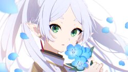 Rule 34 | 1girl, blue flower, commentary request, earrings, flower, frieren, from side, green eyes, grey hair, hands up, holding, holding flower, jacket, jewelry, long hair, looking at viewer, looking to the side, mamyouda, nemophila (flower), parted bangs, parted lips, partial commentary, petals, pointy ears, portrait, short eyebrows, signature, simple background, solo, sousou no frieren, thick eyebrows, twintails, white background, white jacket