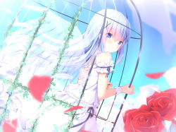 Rule 34 | 1girl, :o, bare shoulders, blue eyes, blue hair, blue sky, blush, cage, clothing cutout, commentary request, cross-laced clothes, cross-laced cutout, day, dress, dutch angle, feathered wings, flower, from side, gochuumon wa usagi desu ka?, hair between eyes, hair ornament, holding, in cage, kafuu chino, kouda suzu, long hair, looking at viewer, looking to the side, outdoors, parted lips, petals, red flower, red rose, rose, rose petals, sky, sleeveless, sleeveless dress, solo, transparent wings, very long hair, white dress, wings, wrist cuffs, x hair ornament