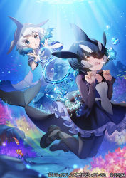 Rule 34 | 2girls, black dress, black footwear, black hair, black legwear, blowhole, blue dress, blue eyes, blue hair, blush, bubble, cetacean tail, clownfish, collar, commentary request, common bottlenose dolphin (kemono friends), coral reef, dolphin girl, dorsal fin, dress, fins, fish, fish tail, frilled collar, frilled dress, frilled sleeves, frills, hair over one eye, kemono friends, kemono friends 3, legs, long sleeves, mary janes, mucchiri shiitake, multicolored hair, multiple girls, neckerchief, official art, orca (kemono friends), pantyhose, sailor collar, sailor dress, shoes, short hair, short sleeves, swimming, tail, tropical fish, two-tone dress, two-tone hair, underwater, white dress, white hair, white neckerchief, yellow eyes
