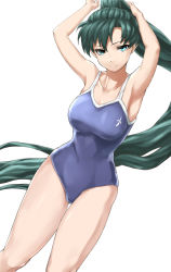 Rule 34 | 1girl, aqua eyes, armpits, arms up, breasts, female focus, fire emblem, fire emblem: the blazing blade, green hair, large breasts, long hair, lyn (fire emblem), nintendo, one-piece swimsuit, ponytail, sajittari, smile, solo, swimsuit