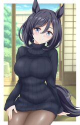 Rule 34 | 1girl, animal ears, arm at side, arm support, black hair, black sweater, blue eyes, breasts, brown pantyhose, closed mouth, cowboy shot, day, eishin flash (umamusume), gurukorian, hair between eyes, hand on own leg, head tilt, highres, horse ears, horse girl, horse tail, large breasts, light blush, long sleeves, looking at viewer, medium hair, pantyhose, ribbed sweater, shouji, sitting, sleeves past wrists, sliding doors, smile, solo, striped, sweater, swept bangs, tail, tree, turtleneck, turtleneck sweater, umamusume, vertical stripes