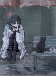 Rule 34 | 1girl, bench, black cat, black footwear, black hair, black hoodie, black pants, blonde hair, blue archive, blurry, blurry background, boots, cat, coat, halo, highres, hood, hood down, hooded coat, hoodie, knees up, long sleeves, looking to the side, mask, mask pull, misaki (blue archive), mouth mask, outdoors, pants, rain, short hair, sitting, solo, surgical mask, white coat, yayuyoron