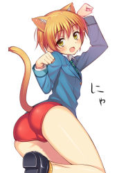 Rule 34 | 1girl, aida takanobu, animal ears, ass, bad id, bad pixiv id, blazer, blonde hair, buruma, cat ears, cat tail, fang, jacket, necktie, open mouth, paw pose, short hair, simple background, solo, tail, translated, yellow eyes