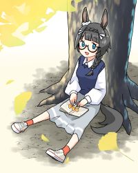 Rule 34 | 1girl, absurdres, animal ears, black hair, blue eyes, blue sweater, blunt bangs, book, braid, braided ponytail, breasts, collared shirt, crown braid, full body, ginkgo leaf, glasses, grey skirt, highres, horse ears, horse girl, horse tail, leaf, long hair, long sleeves, looking at viewer, ooishi oil, open book, open mouth, orange socks, outdoors, semi-rimless eyewear, shirt, shoes, sitting, skirt, small breasts, smile, sneakers, socks, solo, sweater, sweater vest, tail, tree, umamusume, white footwear, white shirt, zenno rob roy (umamusume)