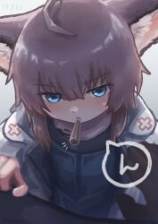 Rule 34 | 1girl, ahoge, animal ears, arknights, artist name, blue eyes, blue vest, blush, coat, commentary request, dated, food, food in mouth, fox ears, fox girl, looking at viewer, material growth, mouth hold, oripathy lesion (arknights), oudonium, pink hair, pocky, pocky in mouth, pov, pov hands, solo focus, speech bubble, sussurro (arknights), twitter username, vest, white coat