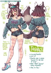 Rule 34 | 1girl, ahoge, animal ear fluff, animal ears, breasts, brown hair, commentary, green eyes, large breasts, long sleeves, navel, open mouth, original, poch4n, raccoon ears, raccoon tail, shoes, short hair, short shorts, shorts, smile, solo, striped clothes, striped legwear, striped thighhighs, tail, tanuki, thighhighs