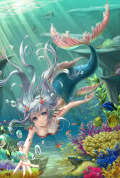 Rule 34 | 1girl, absurdres, air bubble, aqua eyes, breasts, bubble, coral, coral hair ornament, fins, fish, grey hair, head fins, highres, long hair, looking at viewer, mermaid, monster girl, nina (maurururoa), original, outstretched arm, seafloor, solo, underwater