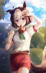 Rule 34 | 1girl, absurdres, animal ears, blush, bottle, brown hair, cowboy shot, gym shirt, gym shorts, hair between eyes, highres, holding, holding bottle, horse ears, horse girl, horse tail, huge filesize, mirage (rairudiseu), mouth hold, multicolored hair, purple eyes, red shorts, shirt, short hair, short sleeves, shorts, solo, special week (umamusume), tail, two-tone hair, umamusume, white hair, white shirt