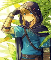 Rule 34 | 1boy, arm up, belt, black cape, blonde hair, blue eyes, blue shirt, cape, closed mouth, expressionless, fingerless gloves, gloves, hood, hood up, hooded cape, layered sleeves, link, long sleeves, looking at viewer, male focus, nintendo, plant, rain, shading eyes, shijima (4jima), shirt, short hair, short over long sleeves, short sleeves, sidelocks, solo, standing, the legend of zelda, the legend of zelda: breath of the wild, upper body, vambraces
