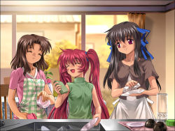 Rule 34 | 00s, 3girls, air (visual novel), apron, blouse, brown hair, cup, dishes, flower, hair ribbon, happy, height difference, indoors, key (company), kitchen, long hair, looking at another, michiru (air), multiple girls, mutsuki (moonknives), plate, red eyes, red hair, ribbon, shirt, short hair, short sleeves, sink, sleeveless, sleeveless turtleneck, smile, sponge, sunflower, toono minagi, turtleneck, twintails, very long hair, washing, wet, window
