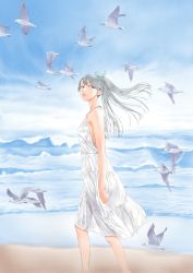Rule 34 | 1girl, alternate costume, beach, bird, black hair, blue eyes, blue sky, cloud, commentary request, day, dress, feet out of frame, highres, horizon, houshou (kancolle), kantai collection, long hair, looking at viewer, ocean, outdoors, seagull, sky, solo, sundress, walking, waves, white dress, yuichi (sp sakura yoshi)