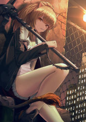 Rule 34 | 1girl, absurdres, animal ears, arknights, bare legs, black choker, black jacket, brown eyes, brown hair, chain-link fence, choker, commentary, fence, fur-trimmed shorts, fur trim, hammer, highres, huge filesize, jacket, k0a, lion ears, lion tail, long hair, long sleeves, looking at viewer, mouth hold, night, night sky, open clothes, open jacket, outdoors, shirt, short shorts, shorts, siege (arknights), sitting, sky, solo, tail, thighs, white shirt