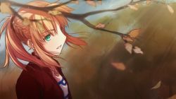 Rule 34 | 1girl, autumn, autumn leaves, bandeau, blonde hair, braid, fate/apocrypha, fate (series), french braid, green eyes, jacket, jewelry, long hair, mordred (fate), mordred (fate/apocrypha), mordred (memories at trifas) (fate), necklace, ponytail, scrunchie, solo, strapless, tube top, tusia, type-moon