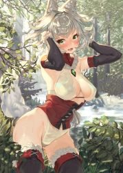 Rule 34 | 1girl, absurdres, animal ears, blush, boots, bow, breasts, brooch, corset, croriin, day, detached sleeves, embarrassed, fang, fantasy, forest, fur trim, green eyes, highleg, highres, jewelry, leaf, looking at viewer, nature, open mouth, original, outdoors, plant, river, see-through, skin fang, skindentation, solo, sweat, nervous sweating, tail, thigh boots, thighhighs, tree, wavy hair, wet, wet clothes, wolf ears, wolf tail
