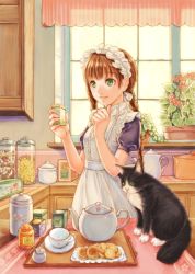 Rule 34 | apron, braid, brown hair, cat, cookie, cup, food, green eyes, kitchen, long hair, maid, maid apron, maid cap, maid headdress, original, plant, potted plant, solo, soujirou, teacup, teapot, twin braids