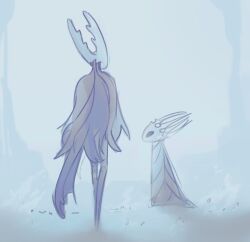 Rule 34 | 1boy, 1other, arthropod limbs, black cloak, cloak, crown, ded-lime, dress, highres, hollow eyes, hollow knight, hollow knight (character), horns, king, looking at another, multiple others, pale king (hollow knight), standing, walking, white background, white cloak
