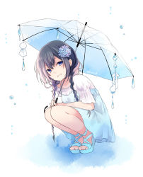 Rule 34 | 1girl, black hair, blue dress, blue flower, blue footwear, blue umbrella, blush, braid, commentary request, dress, flower, full body, hair flower, hair ornament, hair over shoulder, highres, holding, holding umbrella, kuroi (liar-player), long hair, low twintails, original, parted lips, puffy short sleeves, puffy sleeves, sandals, shirt, short sleeves, sleeveless, sleeveless dress, smile, solo, squatting, transparent, transparent umbrella, twin braids, twintails, twitter username, umbrella, white background, white shirt