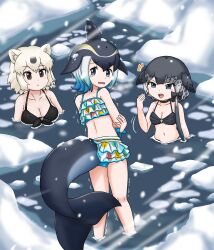 Rule 34 | 1koma, 3girls, :&lt;, adansosutega, animal ears, aqua hair, arm at side, arms at sides, back, bear ears, beckoning, bikini, black hair, blowhole, blue eyes, blue hair, breasts, brown eyes, cetacean tail, choker, cleavage, closed mouth, cold, collarbone, colored inner hair, comic, common dolphin (kemono friends), dolphin girl, dorsal fin, extra ears, fins, fish tail, frilled bikini, frills, furrowed brow, grey hair, hand up, head fins, highres, ice, kemono friends, kemono friends 3, large breasts, long hair, looking at another, looking back, medium breasts, medium hair, multicolored hair, multiple girls, narwhal (kemono friends), navel, open mouth, parted bangs, partially submerged, polar bear (kemono friends), side ponytail, silent comic, smile, snowing, standing, stomach, swimsuit, tail, trembling, very long hair, wading, water, wavy mouth, white hair, wind