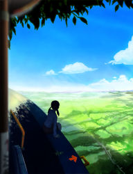 Rule 34 | 1girl, akio-bako, balloon, from behind, grass, highres, original, scenery, sitting, solo