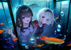 Rule 34 | 2girls, animal, aquarium, black hair, black hairband, black shirt, blonde hair, blush, breasts, bubble, closed mouth, dress, fish, hair between eyes, hairband, highres, inoue takina, jacket, jewelry, long hair, looking at another, looking at viewer, lycoris recoil, medium breasts, mio-muo1206, multiple girls, nishikigi chisato, open clothes, open jacket, open mouth, pendant, purple eyes, red eyes, red jacket, shirt, short hair, smile, white dress