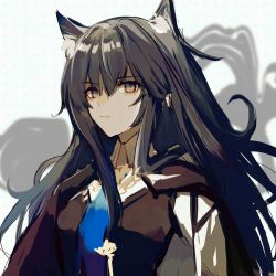 Rule 34 | 1girl, animal ear fluff, animal ears, anpoai, arknights, black cape, black hair, black vest, blue necktie, brown eyes, cape, closed mouth, extra ears, highres, long hair, looking at viewer, necktie, solo, texas (arknights), texas the omertosa (arknights), upper body, vest, wolf ears