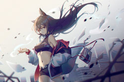 Rule 34 | 1girl, animal ears, arknights, bare shoulders, black hair, black shirt, black shorts, breasts, brown eyes, chinese commentary, cigarette, commentary request, cowboy shot, crop top, floating hair, hair between eyes, highres, holding, holding cigarette, jacket, long hair, looking at viewer, medium breasts, midriff, navel, off shoulder, open clothes, open jacket, parted lips, partial commentary, shirt, short shorts, shorts, sleeveless, sleeveless shirt, so tsubasa, solo, standing, stomach, texas (arknights), thighs, white jacket, wolf ears