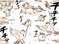 Rule 34 | bird, eurasian tree sparrow, mitsumoto jouji, monochrome, no humans, sparrow, touhou, translation request