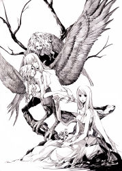 Rule 34 | 4girls, breasts, capelet, closed eyes, closed mouth, commentary request, dress, feathered wings, flower, full body, greyscale, harpy, holding, holding flower, koto (sugerparade), long hair, looking at viewer, looking to the side, mage (ragnarok online), medium breasts, monochrome, monster girl, multiple girls, nipples, open mouth, pelvic curtain, ragnarok online, showgirl skirt, sitting, swept bangs, tree, winged arms, wings