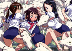 Rule 34 | 3girls, animal, bestiality, black hair, blue eyes, blush, brown eyes, brown hair, embarrassed, flat chest, goat, goats, hair bobbles, hair ornament, multiple girls, naruko hanaharu, no pants, one-piece swimsuit, original, purple eyes, purple hair, school swimsuit, school uniform, serafuku, sheep, swimsuit, swimsuit under clothes, twintails, water, wavy mouth