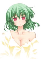 Rule 34 | 1girl, aoilio, artist name, bad id, bad pixiv id, bare shoulders, blush, breasts, cleavage, collarbone, dress shirt, female focus, green hair, head tilt, highres, kazami yuuka, light smile, medium breasts, no lineart, off shoulder, parted lips, red eyes, shirt, signature, simple background, solo, touhou, unbuttoned, white background