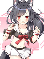 Rule 34 | 1girl, :d, animal ear fluff, animal ears, azur lane, black bra, black hair, black shirt, bra, breasts, claw pose, collarbone, commentary request, cowboy shot, crop top, fang, gudon (iukhzl), long hair, looking at viewer, medium breasts, midriff, miniskirt, nail polish, navel, open mouth, ponytail, red eyes, red nails, red ribbon, ribbon, sailor collar, shigure (azur lane), shirt, short sleeves, skirt, smile, solo, sweatband, tail, underwear, v-shaped eyebrows, white skirt, wolf ears, wolf girl, wolf tail