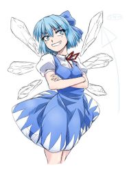 Rule 34 | 1girl, blue dress, blue eyes, blue hair, bow, breasts, cirno, cowboy shot, cropped legs, crossed arms, dress, grin, hair bow, ice, ice wings, matching hair/eyes, ootsuki wataru, short hair, small breasts, smile, smirk, solo, touhou, wings
