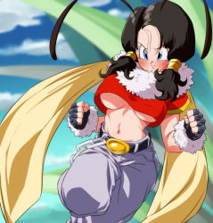 Rule 34 | 1girl, blouse, breasts, dragonball z, female focus, no bra, red shirt, rom (20), shirt, solo, tagme, videl