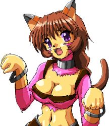 Rule 34 | .hack//, .hack//g.u., .hack//games, .hack//roots, 00s, 1girl, animal ears, bandai, bracelet, breasts, brown hair, cat ears, cleavage, cyber connect 2, dragon (artist), fang, happy, jewelry, large breasts, looking at viewer, lowres, midriff, navel, paw pose, ponytail, purple eyes, simple background, smile, solo, tabby, tabby (.hack//), white background