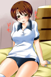 Rule 34 | 1girl, blush, breasts, brown hair, buruma, green eyes, gym storeroom, gym uniform, heavy breathing, highres, indoors, large breasts, looking at viewer, mature female, nishi koutarou, open mouth, original, shirt, short sleeves, sitting, smile, solo, sweat, vaulting horse