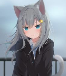 Rule 34 | 1girl, amashiro natsuki, animal ears, black jacket, blue bow, blue eyes, blurry, blurry background, bow, cat ears, cat girl, cat tail, collared shirt, commentary request, day, depth of field, drawstring, dress shirt, eyebrows hidden by hair, fang, fang out, food-themed hair ornament, grey hair, hair between eyes, hair ornament, hairclip, hood, hood down, hooded jacket, jacket, long hair, nachoneko, original, outdoors, railing, shirt, solo, tail, tail raised, upper body, white shirt