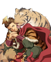 Rule 34 | 1boy, animal, animal ears, animal print, beard, blue eyes, brown hair, cape, chinese clothes, chinese hat, closed eyes, facial hair, guan hat, indian style, itto (mentaiko), licking, looking at another, mian guan, own hands together, robe, sangokushi puzzle taisen, sitting, smile, sun quan, sun quan (sangokushi taisen), tiger, tiger ears, tiger print, white background