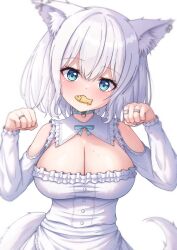 Rule 34 | 1girl, animal collar, animal ear fluff, animal ear piercing, animal ears, blue bow, blue eyes, blush, bow, breasts, cat ears, cat girl, cat tail, center opening, cleavage, collar, dress, fish in mouth, frilled dress, frills, hair between eyes, head tilt, highres, large breasts, looking at viewer, medium hair, original, paw pose, puffy sleeves, reijing etrn, solo, strapless, strapless dress, tail, tube dress, white collar, white dress, white hair