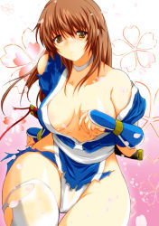 Rule 34 | 1girl, blush, breasts, dead or alive, kasumi (doa), kettsu, large breasts, long hair, solo, torn clothes