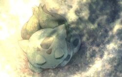 Rule 34 | animal focus, bulbasaur, claws, closed eyes, closed mouth, commentary request, creatures (company), from above, game freak, gen 1 pokemon, light particles, lunaraven, nintendo, no humans, nostrils, on grass, outdoors, pokemon, pokemon (creature), sidelighting, sleeping, solo