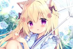 Rule 34 | 1girl, :d, animal ear fluff, animal ears, azumi kazuki, black bow, blonde hair, blue flower, blue kimono, blurry, blurry background, blush, bow, cat ears, commentary request, day, depth of field, fang, floral print, flower, hair between eyes, hair bow, hand up, hydrangea, japanese clothes, kimono, knees up, long hair, looking at viewer, m/, open mouth, original, outdoors, print kimono, purple eyes, rain, smile, solo, transparent, transparent umbrella, two side up, umbrella