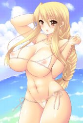 Rule 34 | 1girl, agrias oaks, bikini, bikini pull, blonde hair, blush, braid, breasts, brown eyes, cleavage, clothes pull, covered erect nipples, female focus, final fantasy, final fantasy tactics, large breasts, long hair, outdoors, pocopoco, see-through, single braid, sky, solo, swimsuit, water