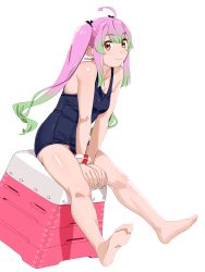 Rule 34 | 1girl, absurdres, ahoge, barefoot, blue one-piece swimsuit, bracelet, breasts, collarbone, fang, gradient hair, green hair, highres, jewelry, kantai collection, lifebuoy, long hair, momo (kancolle), multicolored hair, ojipon, one-piece swimsuit, pink hair, red eyes, school swimsuit, simple background, sitting, small breasts, solo, swim ring, swimsuit, twintails, vaulting horse, white background