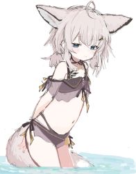 Rule 34 | 1girl, ahoge, animal ears, arknights, arms behind back, bare shoulders, bikini, black bikini, blue eyes, blush, closed mouth, flat chest, fox ears, fox girl, fox tail, hair ornament, hairclip, leaning forward, looking at viewer, low twintails, material growth, navel, official alternate costume, oripathy lesion (arknights), sanma (tabet ), see-through, short hair, short twintails, silver hair, simple background, smile, solo, stomach, sussurro (arknights), sussurro (summer flower) (arknights), swimsuit, tail, twintails, wading, water, white background