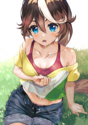 Rule 34 | 1girl, aa (16rrr16), absurdres, arm support, bare shoulders, blouse, blue eyes, breasts, brown hair, casual, clothes pull, collarbone, cowboy shot, denim, denim shorts, from above, grass, hair between eyes, highres, long hair, midriff, multicolored hair, off shoulder, on ground, open fly, open mouth, shirt, shirt pull, shorts, sitting, solo, sports bra, streaked hair, striped clothes, striped shirt, sweat, tokai teio (umamusume), umamusume, white hair, yellow shirt