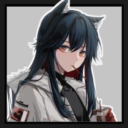 Rule 34 | 1girl, animal ear fluff, animal ears, arknights, black border, black hair, black shirt, boleror (snowcmpie), border, chinese commentary, closed eyes, closed mouth, colored inner hair, commentary request, food, food in mouth, fur-trimmed hood, fur trim, gloves, grey background, holding, hood, hood down, hooded jacket, jacket, long hair, looking at viewer, mouth hold, multicolored hair, official alternate costume, open clothes, open jacket, outline, outside border, pocky, red eyes, red gloves, red hair, shirt, sidelocks, simple background, solo, texas (arknights), texas (winter messenger) (arknights), two-tone hair, white outline, wolf ears