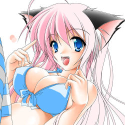 Rule 34 | 1girl, animal ears, bikini, blue bikini, blue eyes, blush, breasts, cat ears, cat girl, female focus, kamiya tomoe, large breasts, long hair, looking at viewer, lowres, pink hair, solo, striped clothes, striped thighhighs, swimsuit, thighhighs