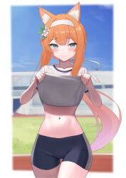 Rule 34 | 1girl, absurdres, afe., animal ear fluff, animal ears, bike shorts, blue archive, blue eyes, blue sky, blurry, blurry background, blush, closed mouth, clothes lift, collarbone, cowboy shot, day, flower, fox ears, gym uniform, hair flower, hair ornament, hair ribbon, hairband, highres, lifted by self, long hair, looking at viewer, low ponytail, mari (blue archive), mari (track) (blue archive), narrowed eyes, navel, orange hair, outdoors, ribbon, running track, shirt lift, sky, smile, solo, stadium, standing, stomach, thigh gap, very long hair, white hairband, white ribbon